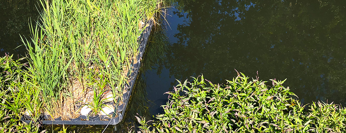 A modular, floating wetland system